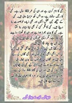 دیوانے تیرے پیار کے۔قسط نمبر 01_260411_175151_2.webp