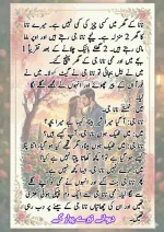 دیوانے تیرے پیار کے۔قسط نمبر 01_260411_175151_11.webp