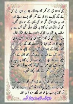 دیوانے تیرے پیار کے۔قسط نمبر 01_260411_175151_14.webp