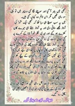 دیوانے تیرے پیار کے۔قسط نمبر 01_260411_175151_17.webp