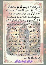 دیوانے تیرے پیار کے۔قسط نمبر 01_260411_175151_18.webp