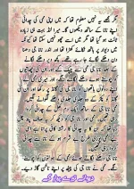 دیوانے تیرے پیار کے۔قسط نمبر 01_260411_175151_19.webp