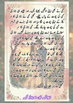 دیوانے تیرے پیار کے۔قسط نمبر 01_260411_175151_24.webp
