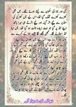 دیوانے تیرے پیار کے قسط نمبر 02_260412_045852_6.webp