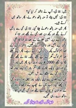 دیوانے تیرے پیار کے قسط نمبر 02_260412_045852_10.webp