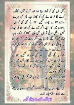 دیوانے تیرے پیار کے قسط نمبر 02_260412_045852_11.webp