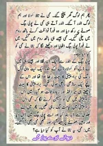 دیوانے تیرے پیار کے قسط نمبر 02_260412_045852_14.webp