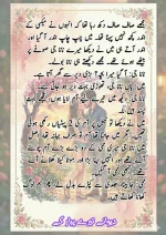 دیوانے تیرے پیار کے قسط نمبر 02_260412_045852_21.webp