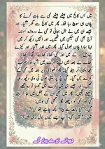 دیوانے تیرے پیار کے قسط نمبر 03_260412_203418_1.webp
