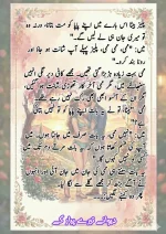 دیوانے تیرے پیار کے قسط نمبر 03_260412_203418_6.webp