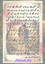 دیوانے تیرے پیار کے قسط نمبر 03_260412_203418_9.webp