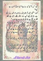 دیوانے تیرے پیار کے قسط نمبر 03_260412_203418_11.webp