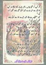 دیوانے تیرے پیار کے قسط نمبر 03_260412_203418_14.webp