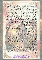 دیوانے تیرے پیار کے قسط نمبر 03_260412_203418_33.webp