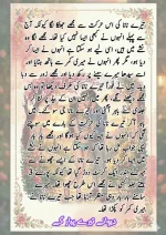 دیوانے تیرے پیار کے قسط نمبر 03_260412_203418_38.webp