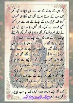 دیوانے تیرے پیار کے قسط نمبر 03_260412_203418_46.webp