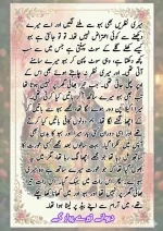 دیوانے تیرے پیار کے قسط نمبر 03_260412_203418_47.webp