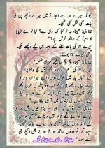 دیوانے تیرے پیار کے قسط نمبر 03_260412_203418_53.webp
