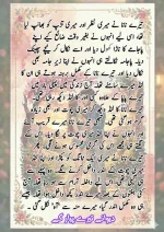 دیوانے تیرے پیار کے قسط نمبر 04_260413_175245_24.webp