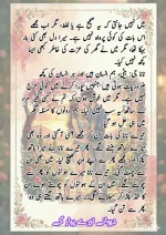 دیوانے تیرے پیار کے قسط نمبر 04_260413_175245_34.webp