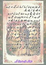 دیوانے تیرے پیار کے قسط نمبر 04_260413_175245_39.webp