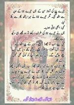 دیوانے تیرے پیار کے قسط نمبر 04_260413_175245_40.webp