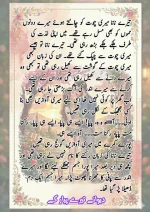 دیوانے تیرے پیار کے قسط نمبر 04_260413_175245_46.webp