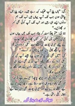 دیوانے تیرے پیار کے قسط نمبر 04_260413_175245_60.webp