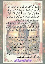 دیوانے تیرے پیار کے قسط نمبر 04_260413_175245_65.webp