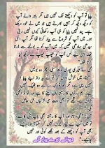 دیوانے تیرے پیار کے قسط نمبر 04_260413_175245_69.webp