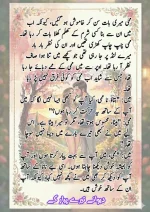 دیوانے تیرے پیار کے قسط نمبر 04_260413_175245_76.webp
