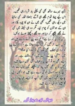 دیوانے تیرے پیار کے قسط نمبر 04_260413_175245_79.webp