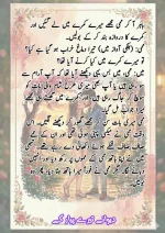 دیوانے تیرے پیار کے قسط نمبر 05_260414_100336_4.webp