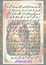 دیوانے تیرے پیار کے قسط نمبر 05_260414_100336_7.webp