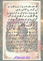 دیوانے تیرے پیار کے قسط نمبر 05_260414_100336_10.webp