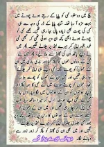 دیوانے تیرے پیار کے قسط نمبر 05_260414_100336_22.webp