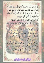 دیوانے تیرے پیار کے قسط نمبر 05_260414_100336_27.webp