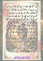 دیوانے تیرے پیار کے قسط نمبر 05_260414_100336_35.webp
