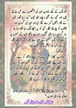 دیوانے تیرے پیار کے قسط نمبر 05_260414_100336_37.webp