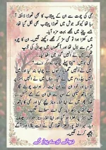 دیوانے تیرے پیار کے قسط نمبر 05_260414_100336_39.webp