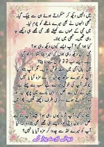 دیوانے تیرے پیار کے قسط نمبر 05_260414_100336_46.webp