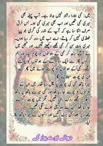 دیوانے تیرے پیار کے قسط نمبر 05_260414_100336_52.webp