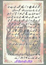 دیوانے تیرے پیار کے قسط نمبر 05_260414_100336_54.webp