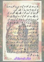 دیوانے تیرے پیار کے قسط نمبر 05_260414_100336_59.webp