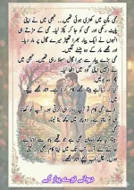 دیوانے تیرے پیار کے قسط نمبر 05_260414_100336_63.webp