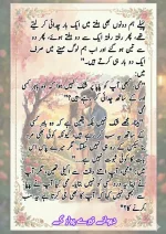 دیوانے تیرے پیار کے قسط نمبر 05_260414_100336_67.webp
