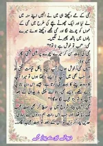 دیوانے تیرے پیار کے قسط نمبر 05_260414_100336_74.webp