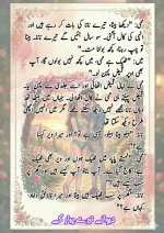 دیوانے تیرے پیار کے قسط نمبر 05_260414_100336_80.webp
