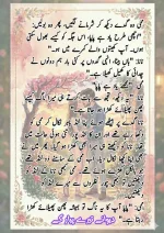 دیوانے تیرے پیار کے قسط نمبر 05_260414_100336_83.webp