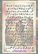 دیوانے تیرے پیار کے قسط نمبر 05_260414_100336_91.webp